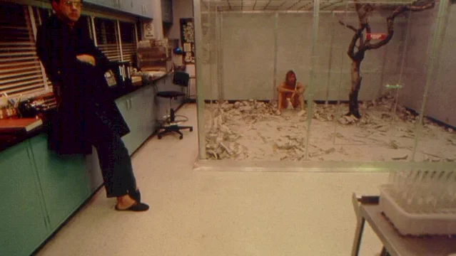 Photo 5 du film : Human nature
