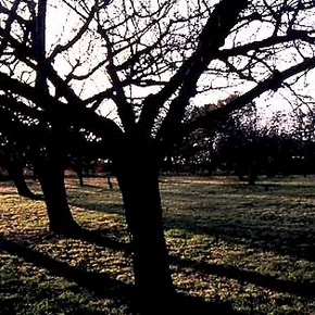 Photo du film : Dieu sait quoi
