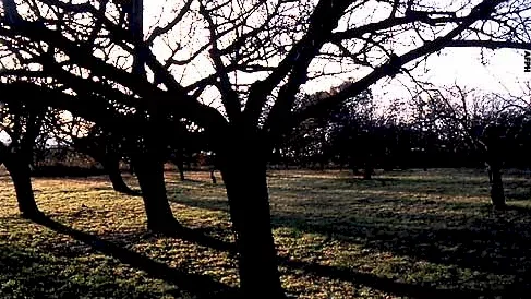 Photo 2 du film : Dieu sait quoi