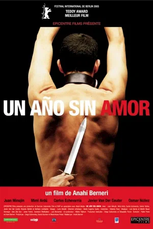 Affiche du film : Un ano sin amor