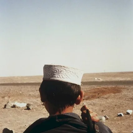Miniature photo du film : In this world