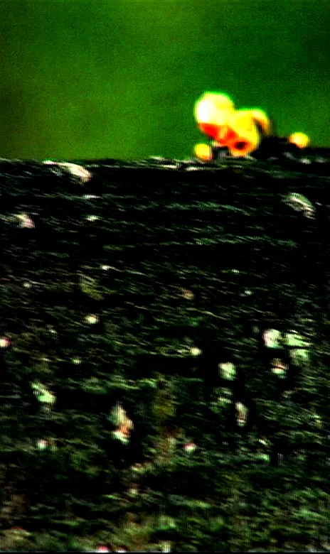 Photo 2 du film : Racines