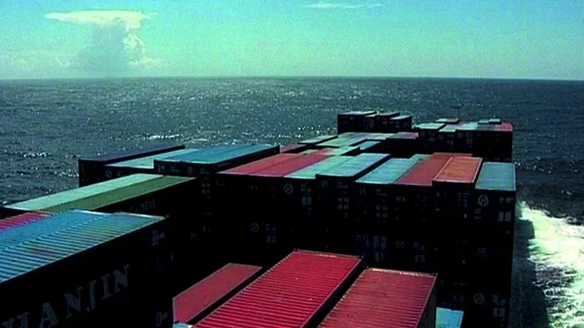 Photo 3 du film : Racines