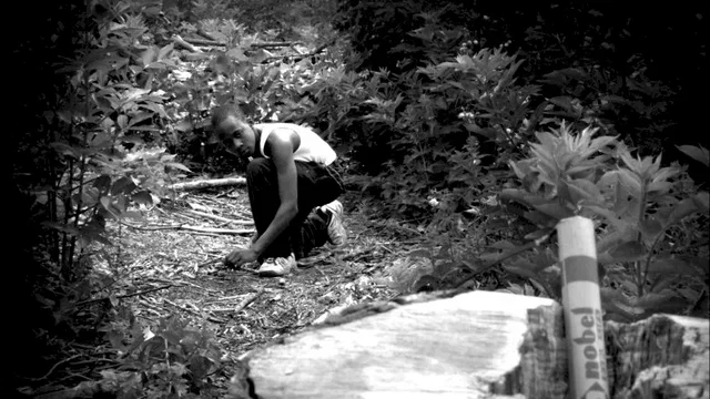 Photo 5 du film : Hop