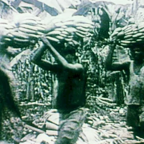 Photo du film : Afrique, Je Te Plumerai