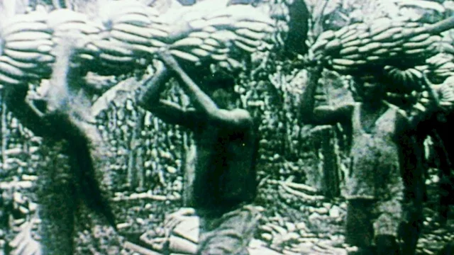 Photo 4 du film : Afrique, Je Te Plumerai