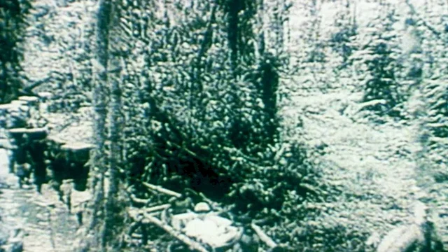 Photo 5 du film : Afrique, Je Te Plumerai