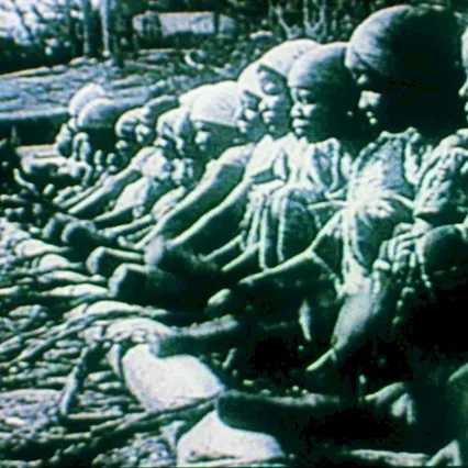 Miniature photo du film : Afrique, Je Te Plumerai