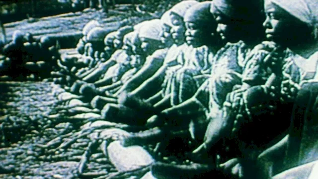 Photo 7 du film : Afrique, Je Te Plumerai