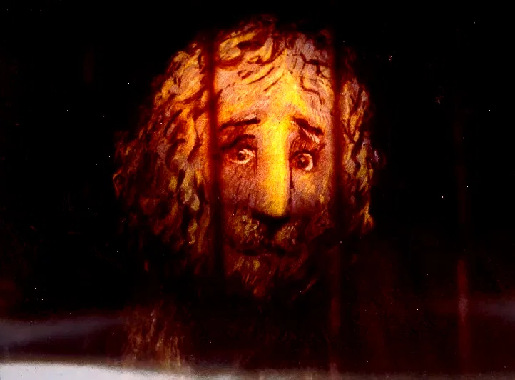 Photo du film : Le lion a la barbe blanche