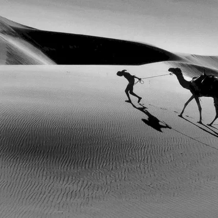 Miniature photo du film : Un homme sans l'occident
