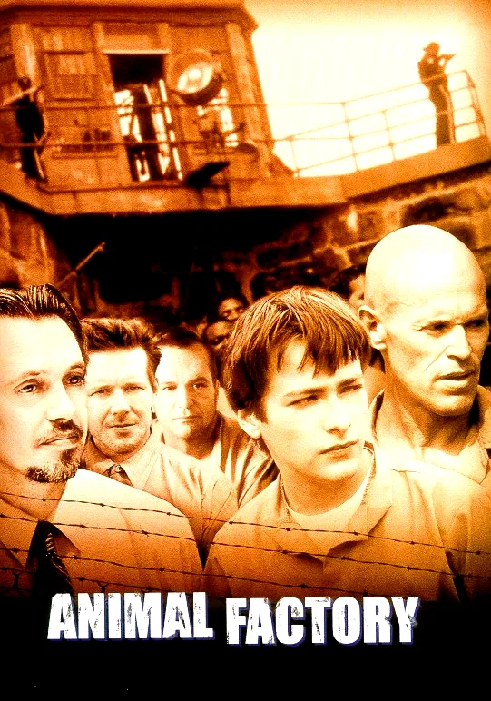 Affiche du film : Animal factory