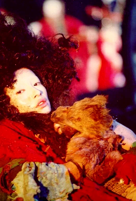 Photo 2 du film : Gemini