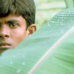 Photo du film : Hathi