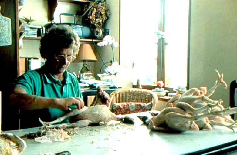 Photo 4 du film : Les terriens