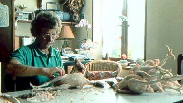 Photo 4 du film : Les terriens