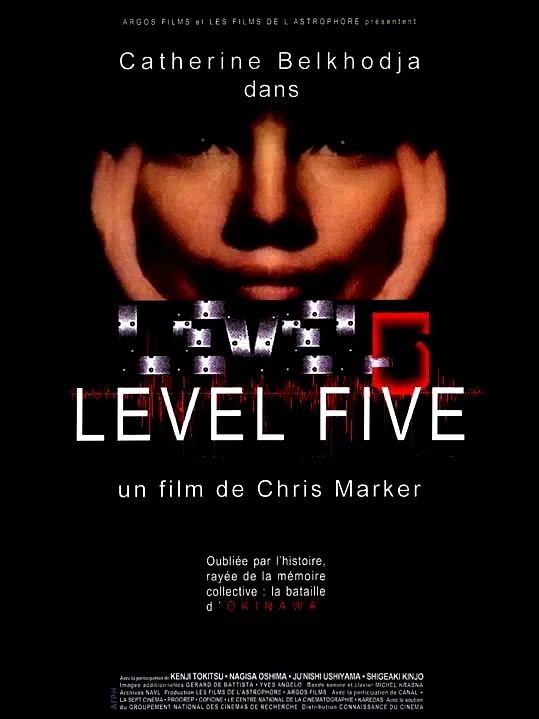 Affiche du film : Level five