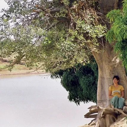 Miniature photo du film : Lili et le baobab