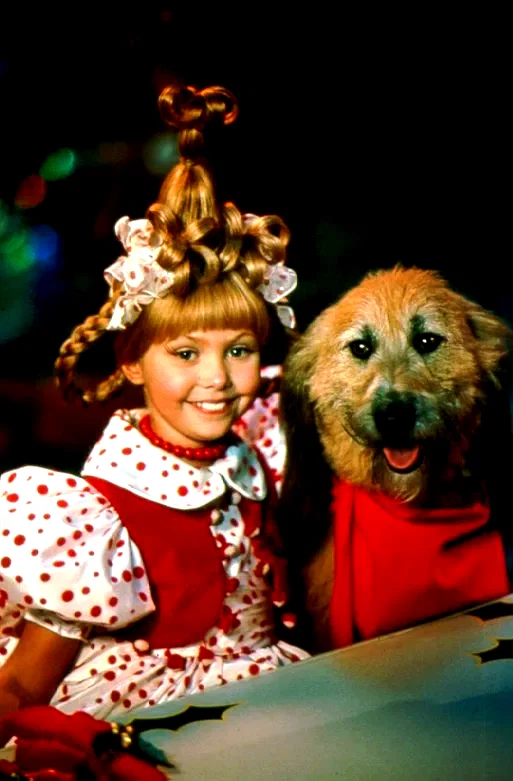 Photo 4 du film : Le Grinch