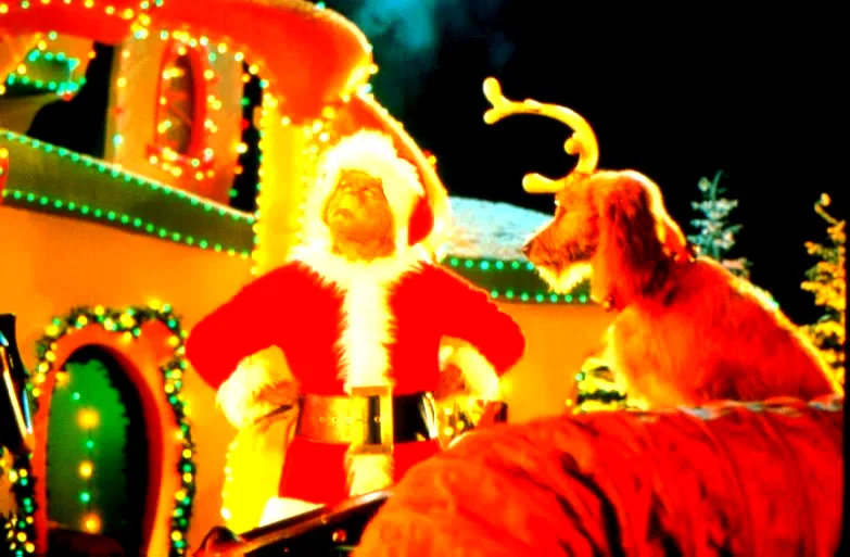 Photo 8 du film : Le Grinch
