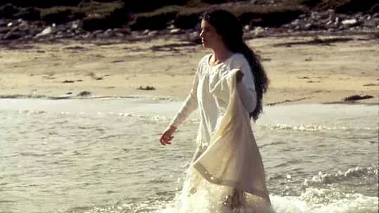 Affiche du film : Le secret de roan inish