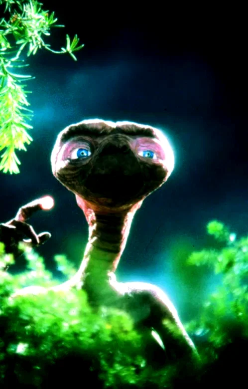 Photo 4 du film : E.T. l'extra-terrestre
