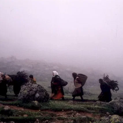Miniature photo du film : En attendant les nuages
