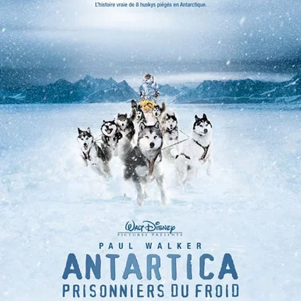 Miniature photo du film : Antartica, prisonniers du froid