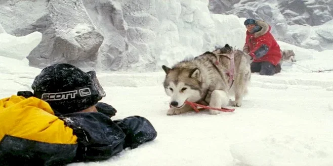 Photo du film : Antartica, prisonniers du froid