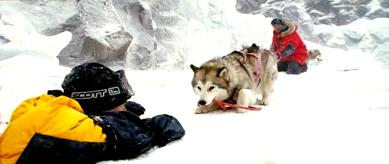 Photo du film : Antartica, prisonniers du froid