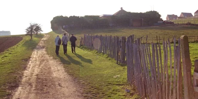 Photo 3 du film : The great ecstasy of Robert Carmichael