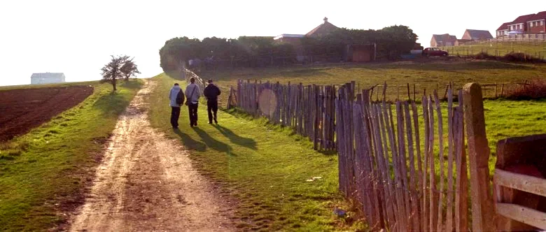 Photo du film : The great ecstasy of Robert Carmichael