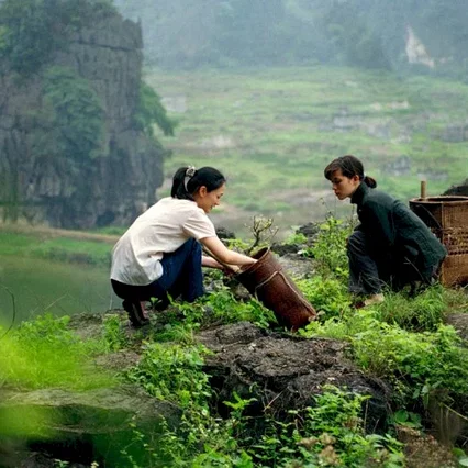 Miniature photo du film : Les filles du botaniste