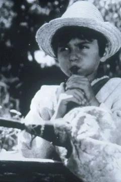 Affiche du film Les aventures de naica