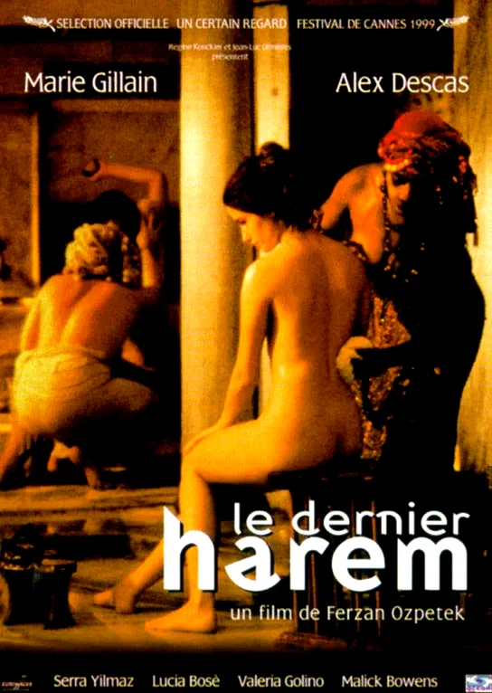 Affiche du film : Le dernier harem