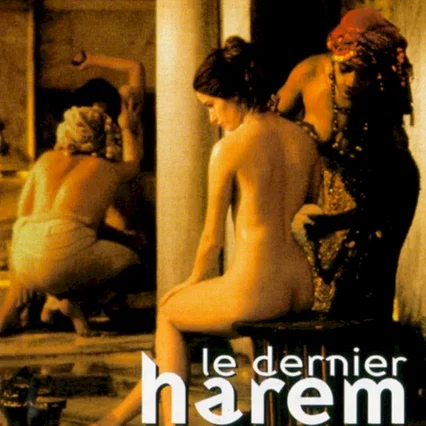 Miniature photo du film : Le dernier harem