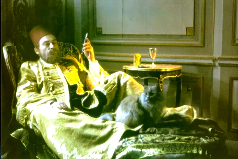 Photo 4 du film : Le dernier harem