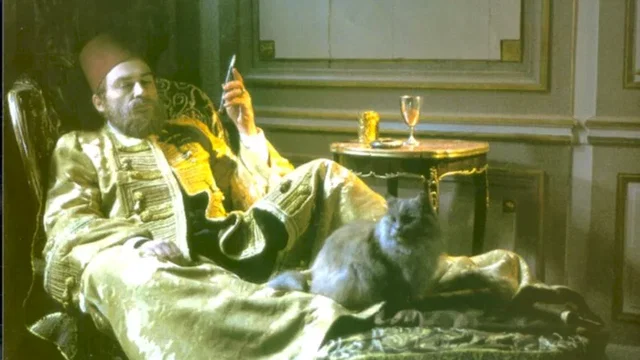 Photo 4 du film : Le dernier harem