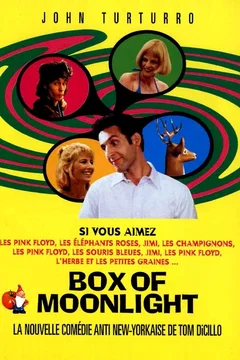 Affiche du film Box of moonlight