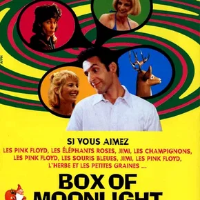 Photo du film : Box of moonlight