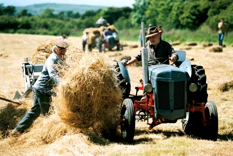Photo 7 du film : Le passager de l'été