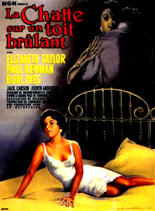 Photo 6 du film : La Chatte sur un toit brûlant