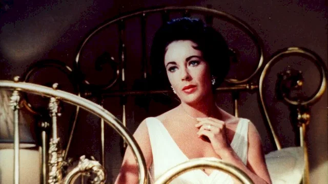 Photo du film : La Chatte sur un toit brûlant