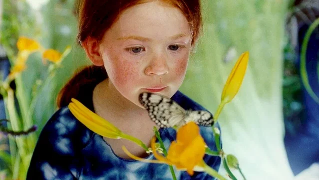 Photo du film : Le papillon