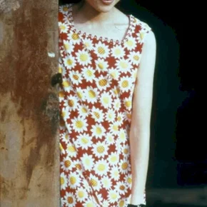 Photo du film : Happy times