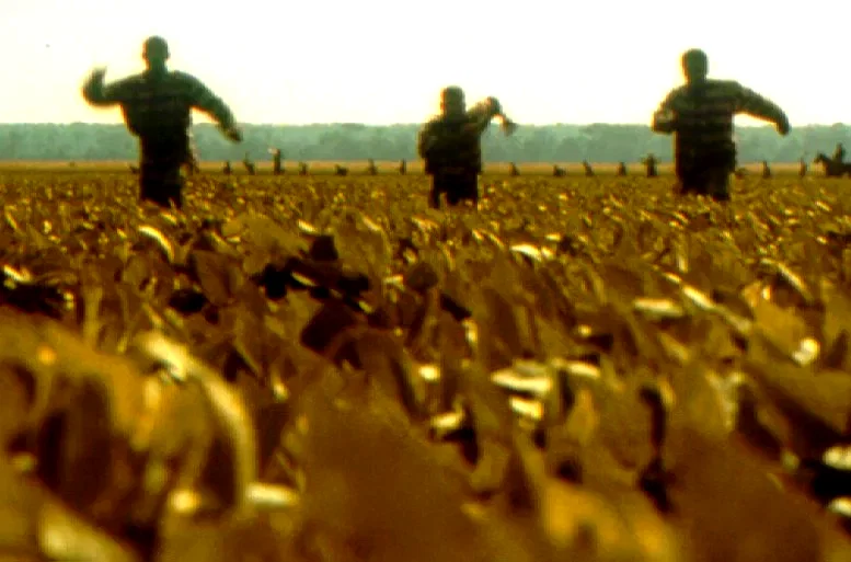 Photo 4 du film : O'Brother 