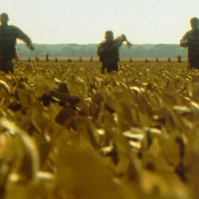 Photo du film : O'Brother 