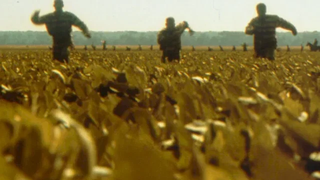 Photo 4 du film : O'Brother 