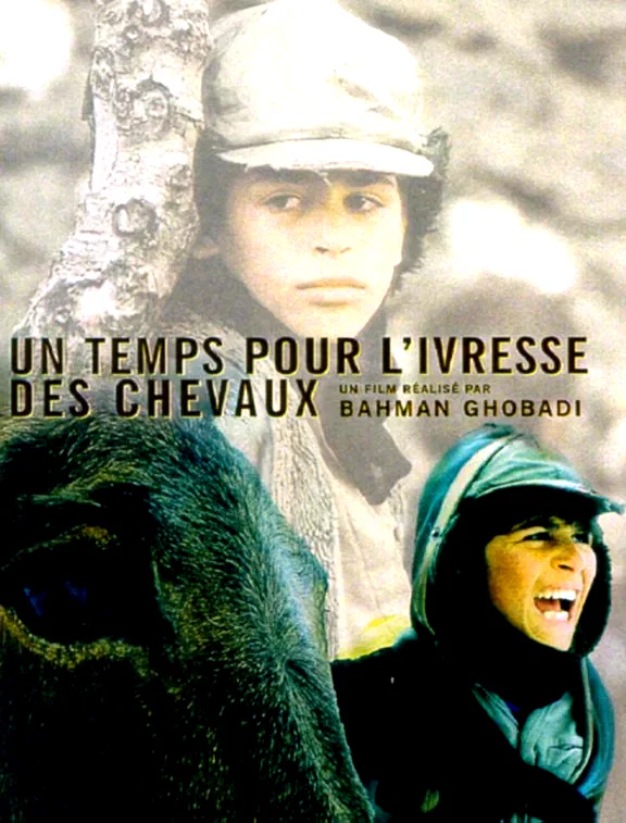 Affiche du film : Un temps pour l'ivresse des chevaux