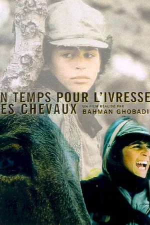 Affiche du film : Un temps pour l'ivresse des chevaux